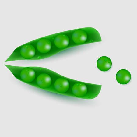 Green peas in pod isolated. Vegetable vector illustration.のイラスト素材