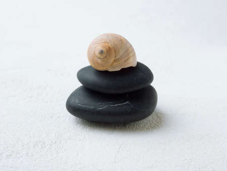 Snail shell on pebble stack. Aromatherapy natural stones.の写真素材