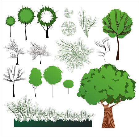 Creative vector plants collection. All objects in this file are 2d, created without tracing.のイラスト素材