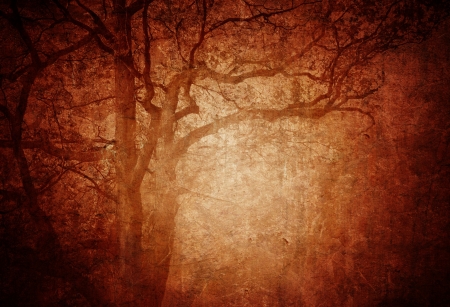 grungy forest - creative design illustrationの写真素材