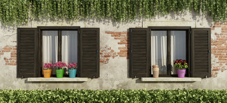 Old facade with wooden windows, flowers on the windowsill and hedges - 3d rendering
