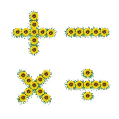 Symbol of sunflower isolated on white backgroundの写真素材