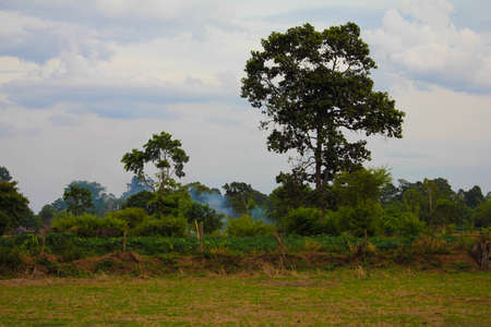 Countryside landscapeの写真素材