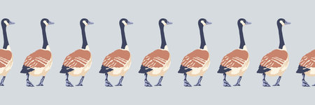 Canada goose. Seamless border of geese moving back. English style pattern. Vintage style color birds. Vector illustration on gray background.のイラスト素材