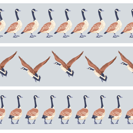 Canada goose. Set of three seamless borders. English style pattern. Vintage style color birds. Vector illustration on gray background.のイラスト素材