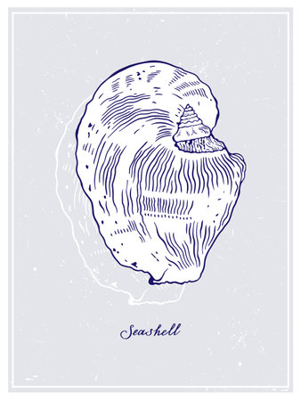 Big white seashell. vintage style poster. Hand drawn graphic design collection. Vector illustration on a colorful background.のイラスト素材