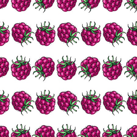 Raspberry. Seamless pattern. Color berries. Hand-drawn flat images. Design of candies and sweet...