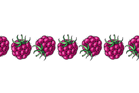 Ripe Pink Raspberries. Seamless banner. Pattern with color berries. Hand-drawn flat image of food, vegetables and fruits. Design of candies and sweet dessert. Vector illustration on a white background.のイラスト素材
