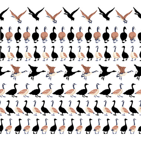 Canadian geese. Seamless border. Black silhouettes. Vintage set of birds. Vector illustration on a white background.のイラスト素材