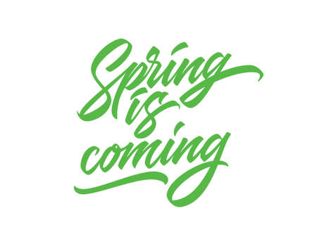 Spring is Coming lettering greeting card springtime typography poster in green color vector illustration. Spring time handmade calligraphic text quoteのイラスト素材