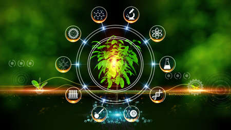 Biotechnology Concept Green environment with Center and spoke Concept ,Plant on center and rotating Iconsの写真素材