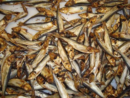 Fresh food in the supermarketの写真素材