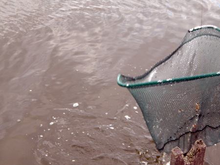 Fishing tackles for fishing rods, floats, nets