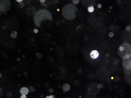 The texture of the rain drops at night