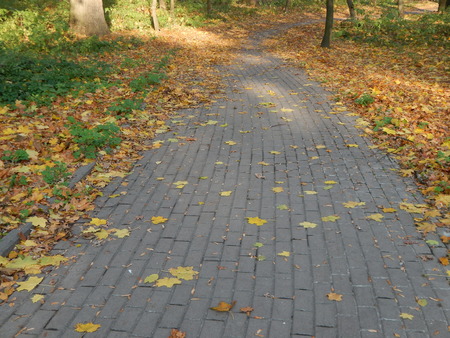 Landscaping garden in park art