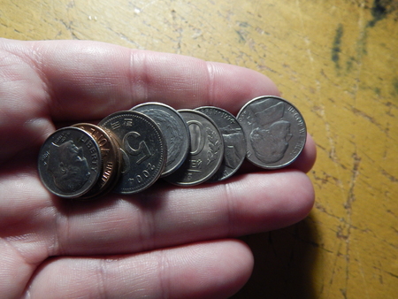 Numismatics, collecting coins of different countries and denominations