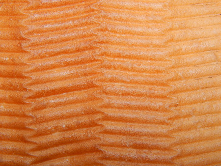 Macro shooting of various natural and artificial objects textures