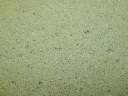 Macro shooting of various natural and artificial objects texturesの写真素材