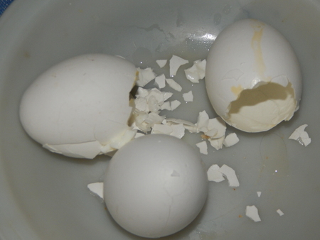 Broken eggshell laying on a plate