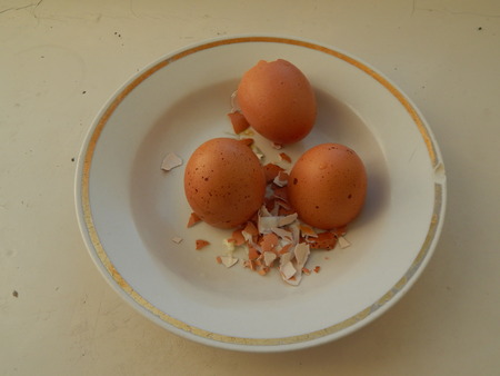 Broken eggshell laying on a plate