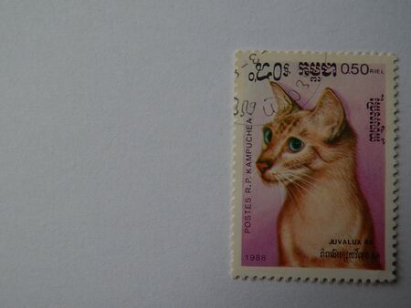 KIEV, UKRAINE - APRIL 16, 2019: Collection of postage stamps with animals.のeditorial素材