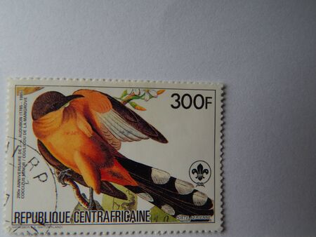 KIEV, UKRAINE - APRIL 16, 2019: Collection of postage stamps with animals.のeditorial素材