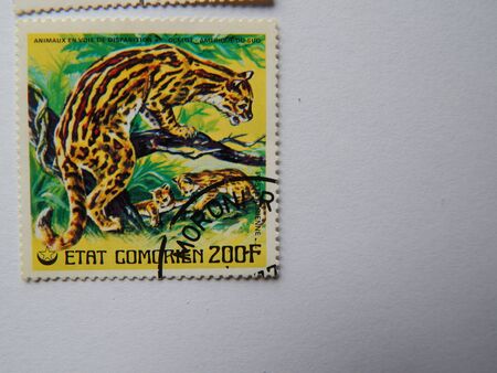 KIEV, UKRAINE - APRIL 16, 2019: Collection of postage stamps with animals.のeditorial素材