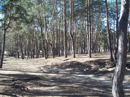 IRPIN, UKRAINE - MARCH 27, 2011. People on the streets in cityのeditorial素材