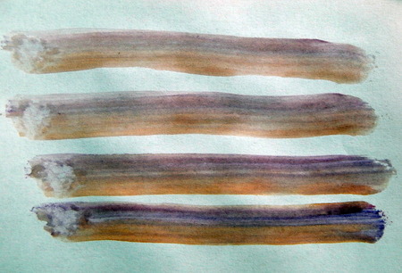 Watercolor illustrations drawn paints on white paper backgroundの写真素材