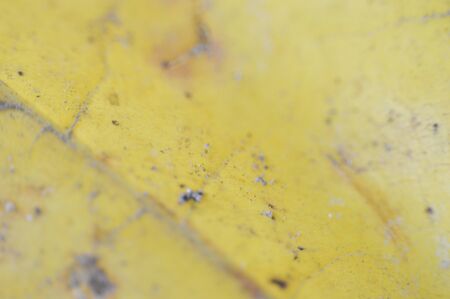 Texture of autumn leaves of different colors closeup