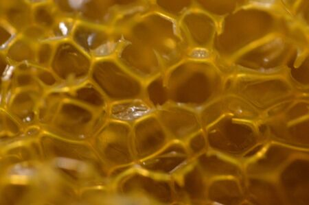 Natural texture of various colors close up