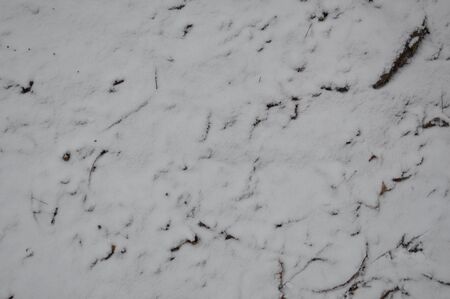 The texture of the first winter snow in the parkの写真素材