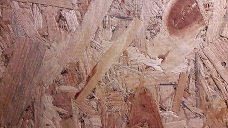 Texture of various lumber wood the species