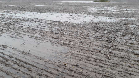 A field plowed by a tractor after a downpour and a rain