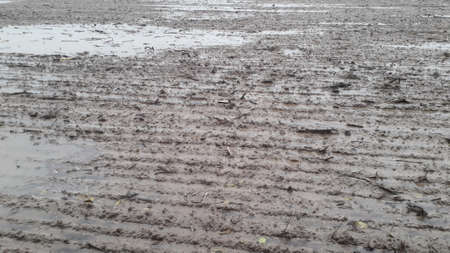 A field plowed by a tractor after a downpour and a rain