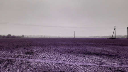 Autumn field landscape in a the village