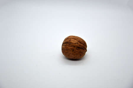 Edible dried walnut on white the backgroundの写真素材