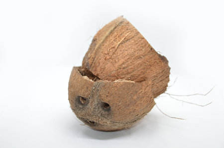 Coconut with palms on white a background
