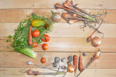 Vegetables grown independently in the countryの写真素材