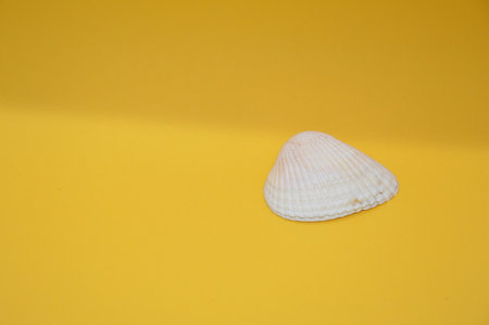 Isolated objects on a the solid colored backgroundの写真素材