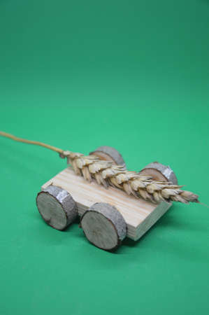 Macro photography of objects on a the green backgroundの写真素材