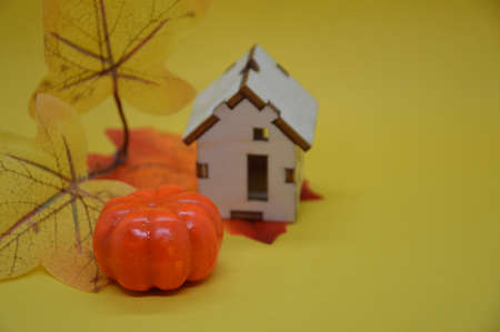 Ripe pumpkin for halloween on the background of a the holiday and mystical itemsの写真素材