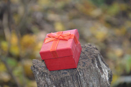 Small red gift box in a the forest