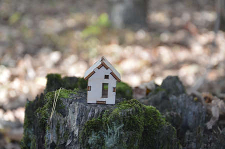 Model of a small wooden house in a the forestの写真素材
