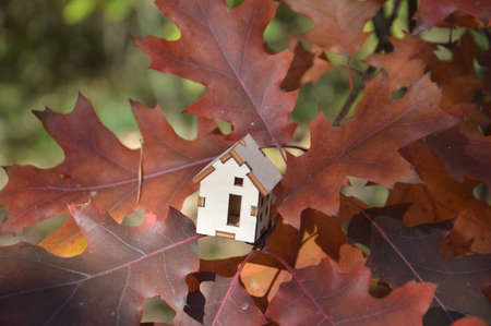 Model of a small wooden house in a the forestの写真素材