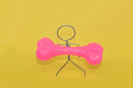 Metal wire man holding a toy the dog boneの写真素材