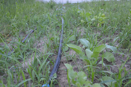 Drip system irrigation for a garden watering