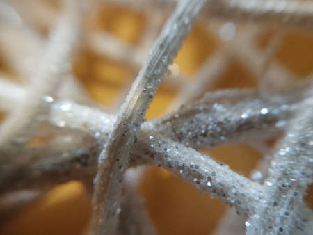 Close-up object on the backgroundの写真素材