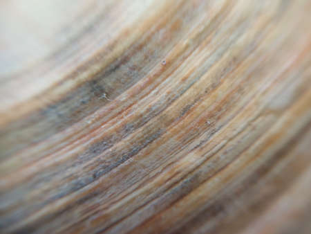 Close-up object on the backgroundの写真素材