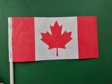 Canada country flag in the winter season